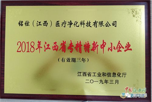 江西省專精特新中小企業(yè)認(rèn)定與江西中小企業(yè)網(wǎng)站建設(shè)